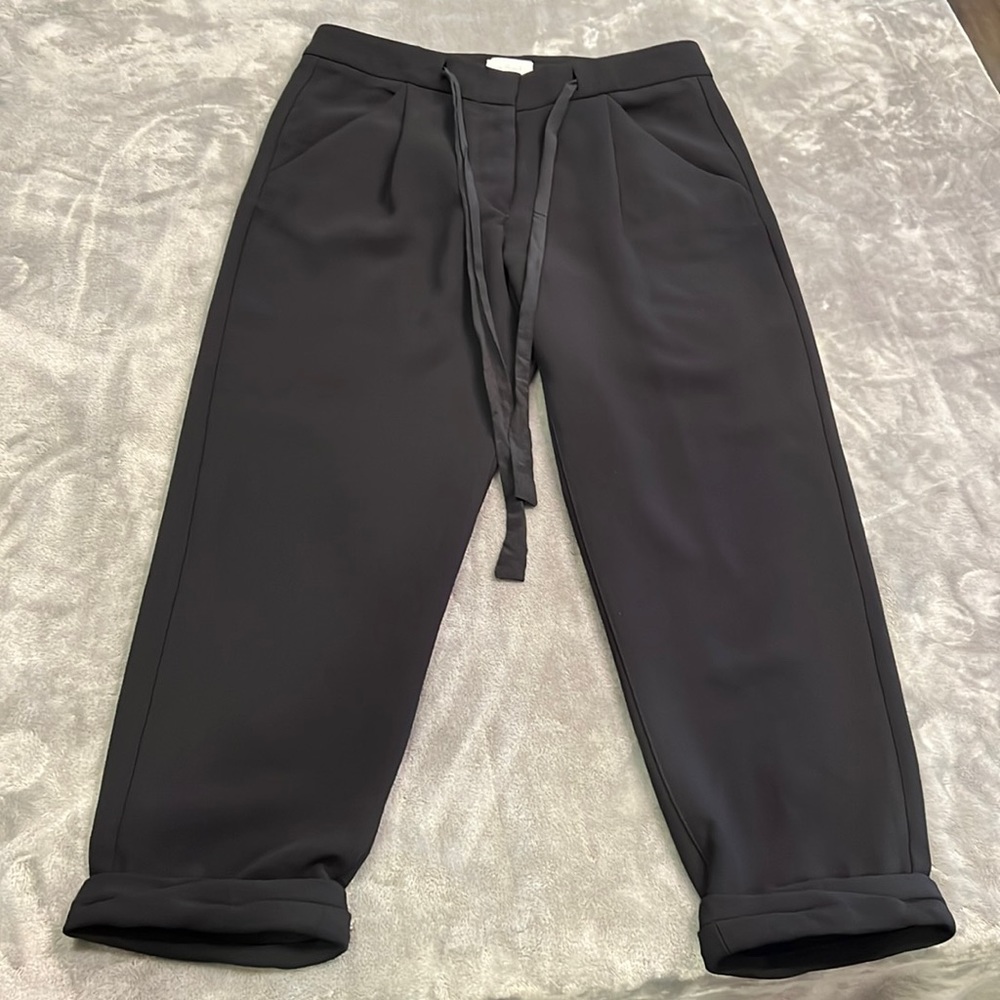 Aritzia Wilshire Allant Ankle tie waist pant
